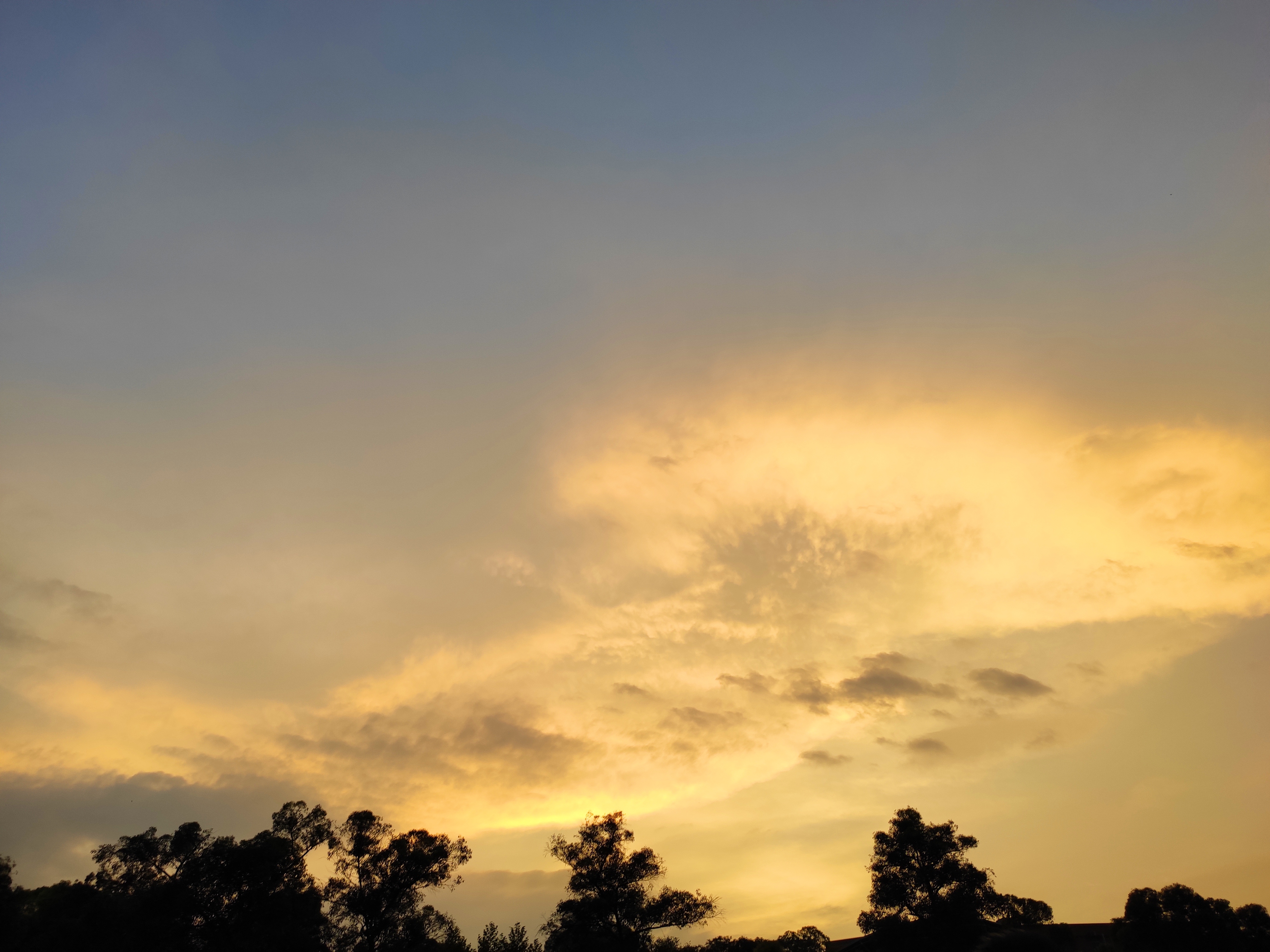 IMG_20190621_201305.jpg