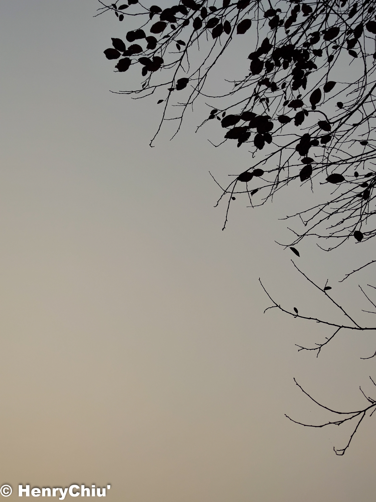 IMG_20201116_172309.jpg