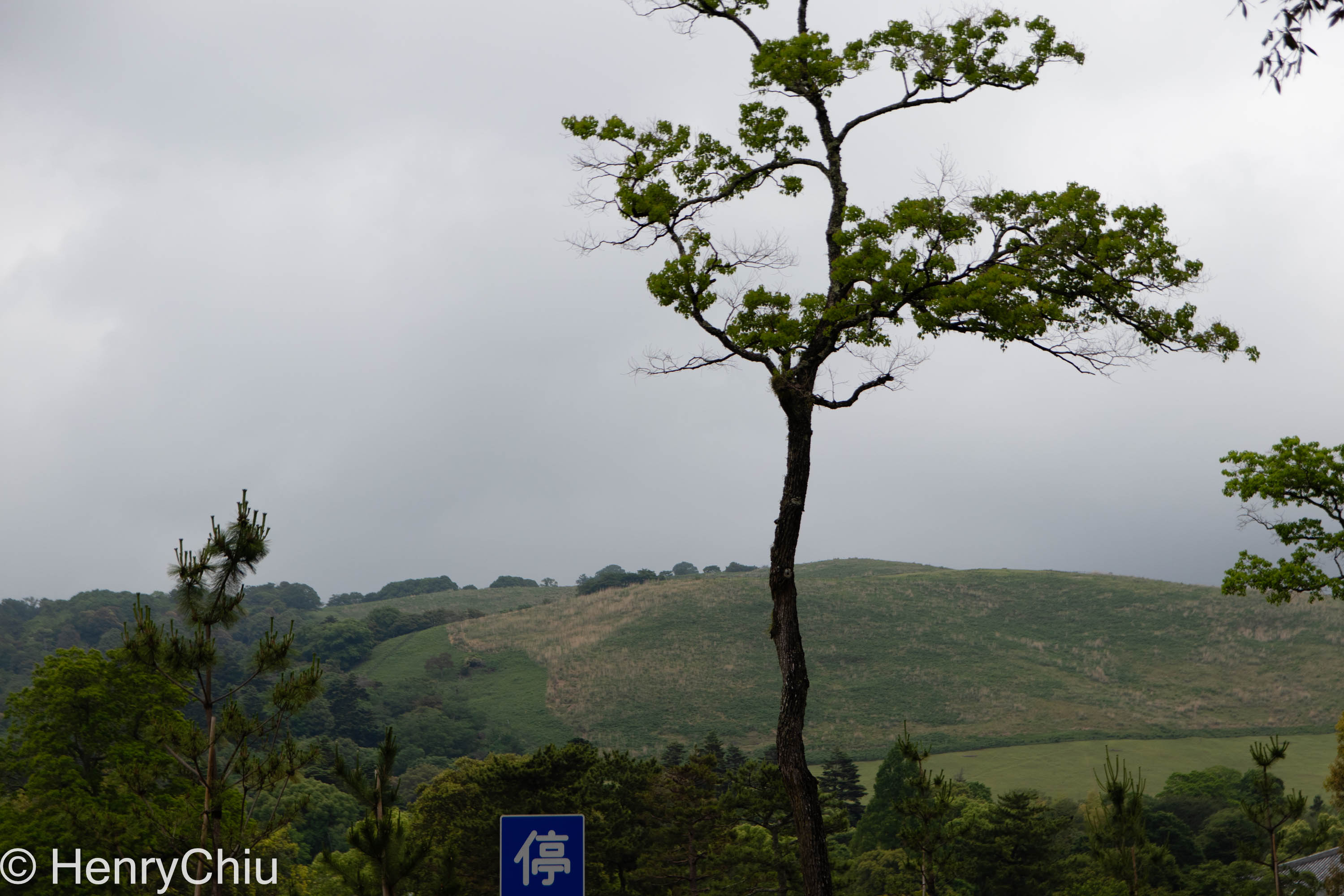IMG_0041-2.jpg